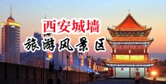 日本操屄视频中国陕西-西安城墙旅游风景区